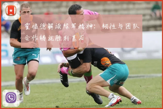 霍福德解读绿军精神：韧性与团队合作铸就胜利基石